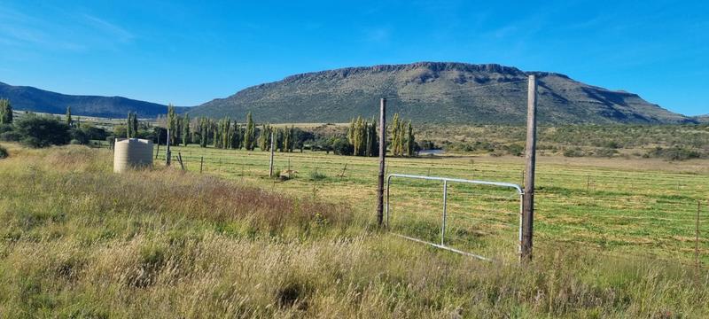 4 Bedroom Property for Sale in Queenstown Rural Eastern Cape